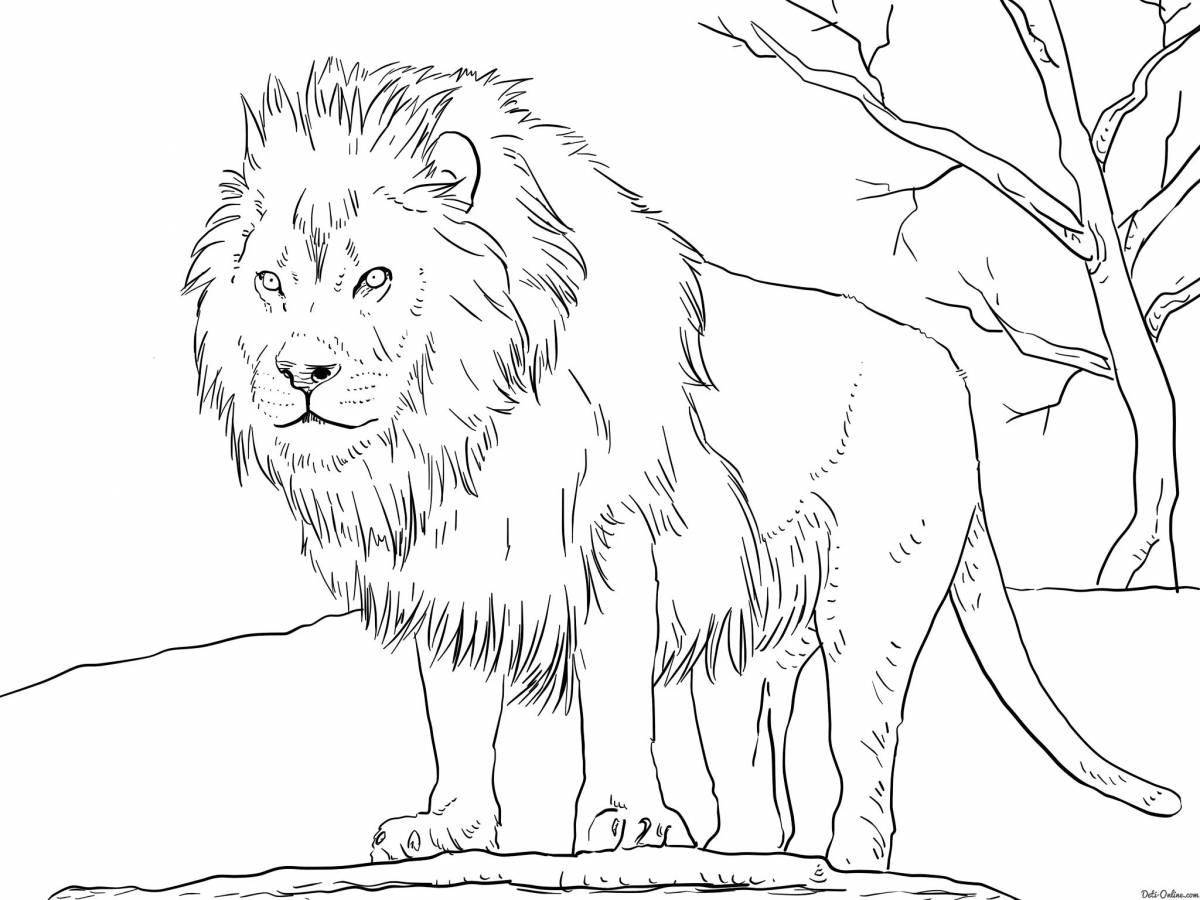 Coloring majestic lion for children