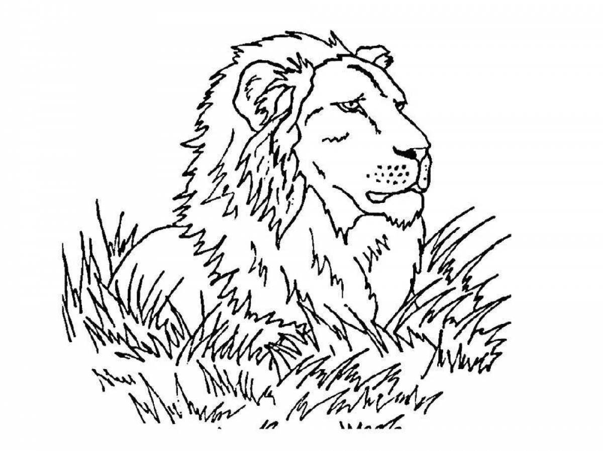 Раскраска царственный лев для детей