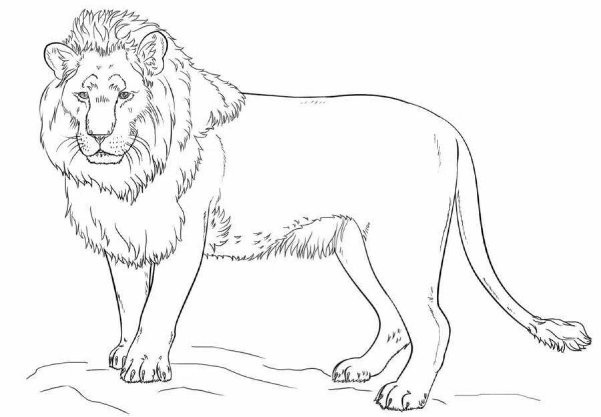 Great lion coloring pages for kids