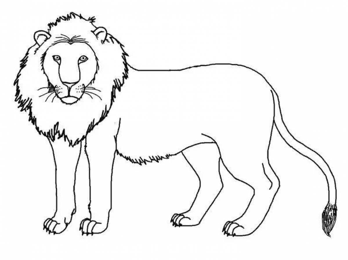 Exquisite lion coloring book for kids