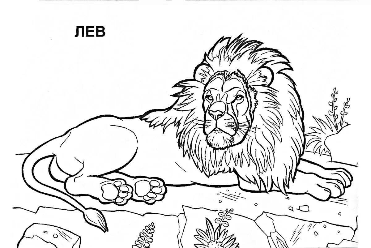 Photo Glowing lion coloring book for kids