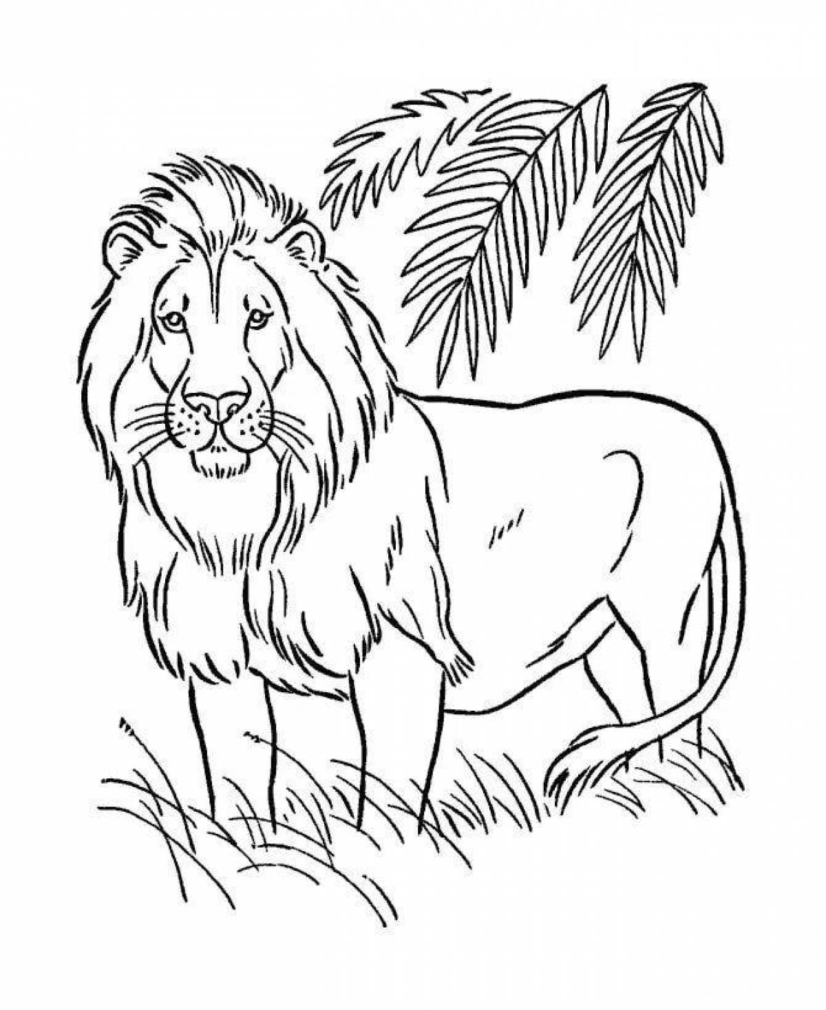 Photo Shiny lion coloring book for kids