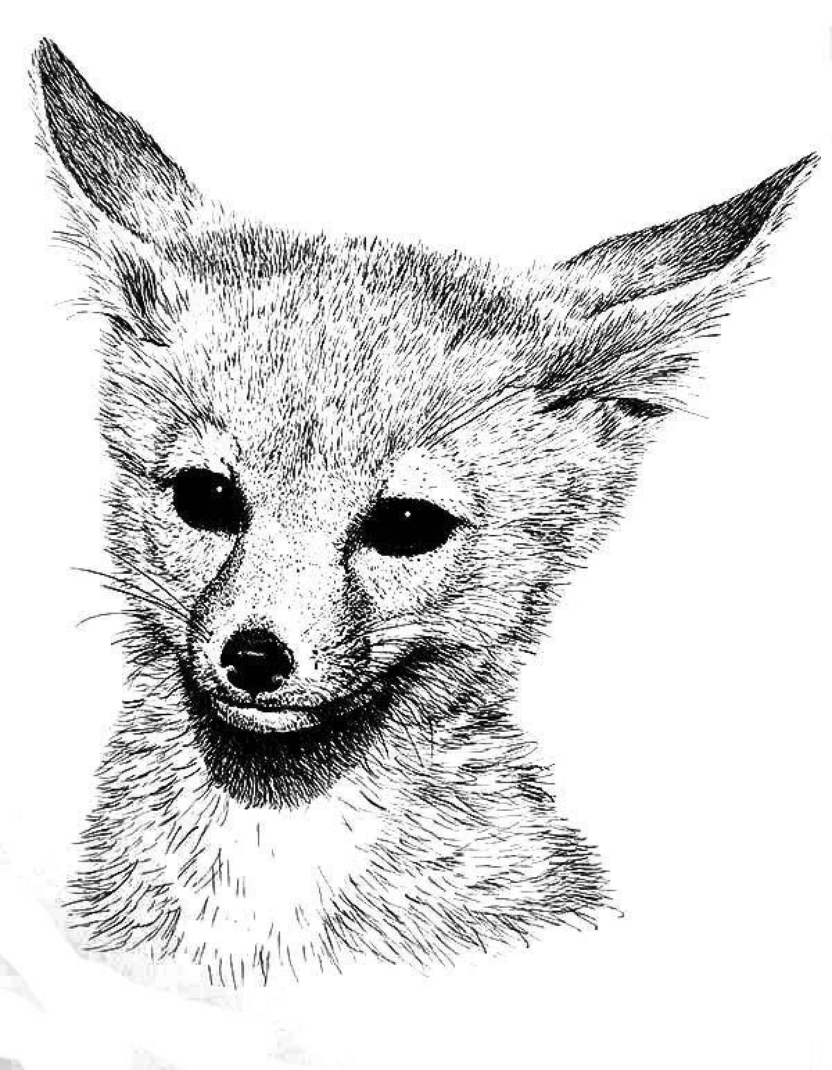 Friendly fox coloring