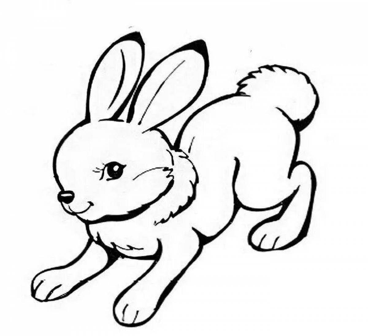 Веселая раскраска кролик для детей