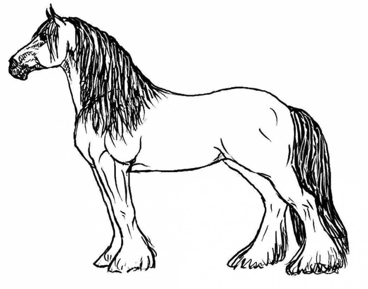 Величественная лошадь-раскраска