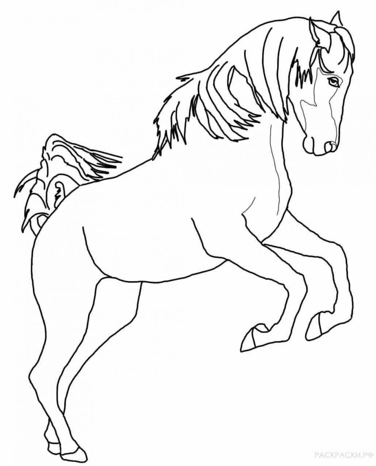 Величественная белая лошадь-раскраска
