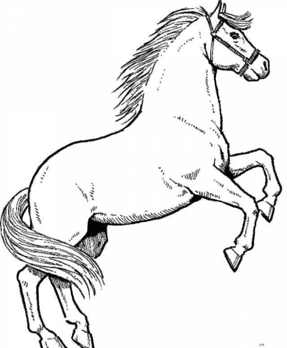 Раскраска величественный чалый конь