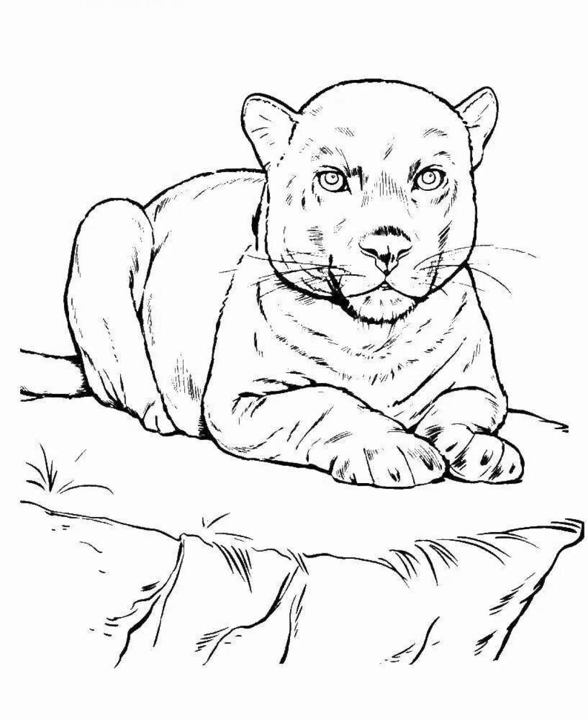 Photo Panther coloring page