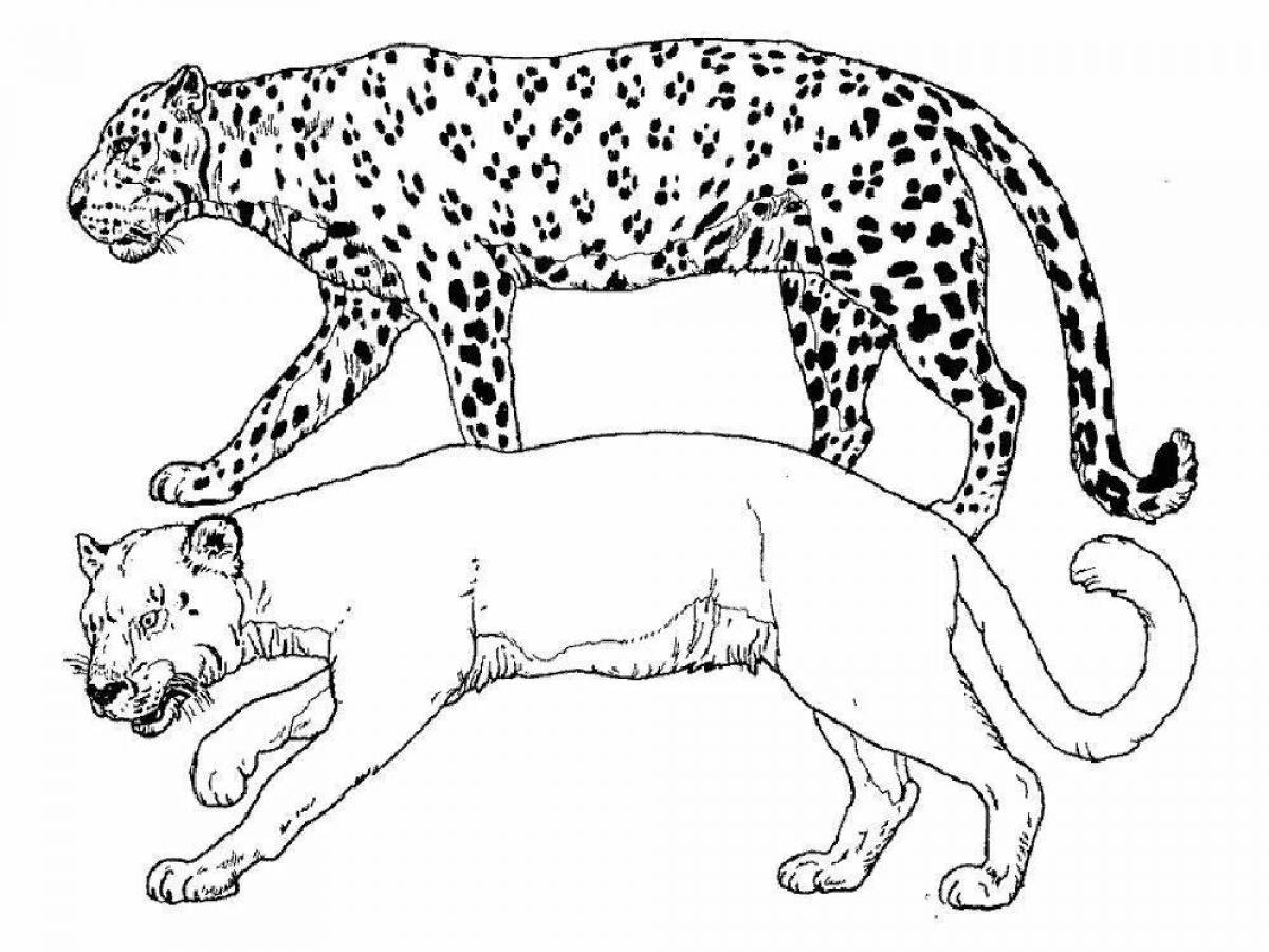 Exotic panther coloring page