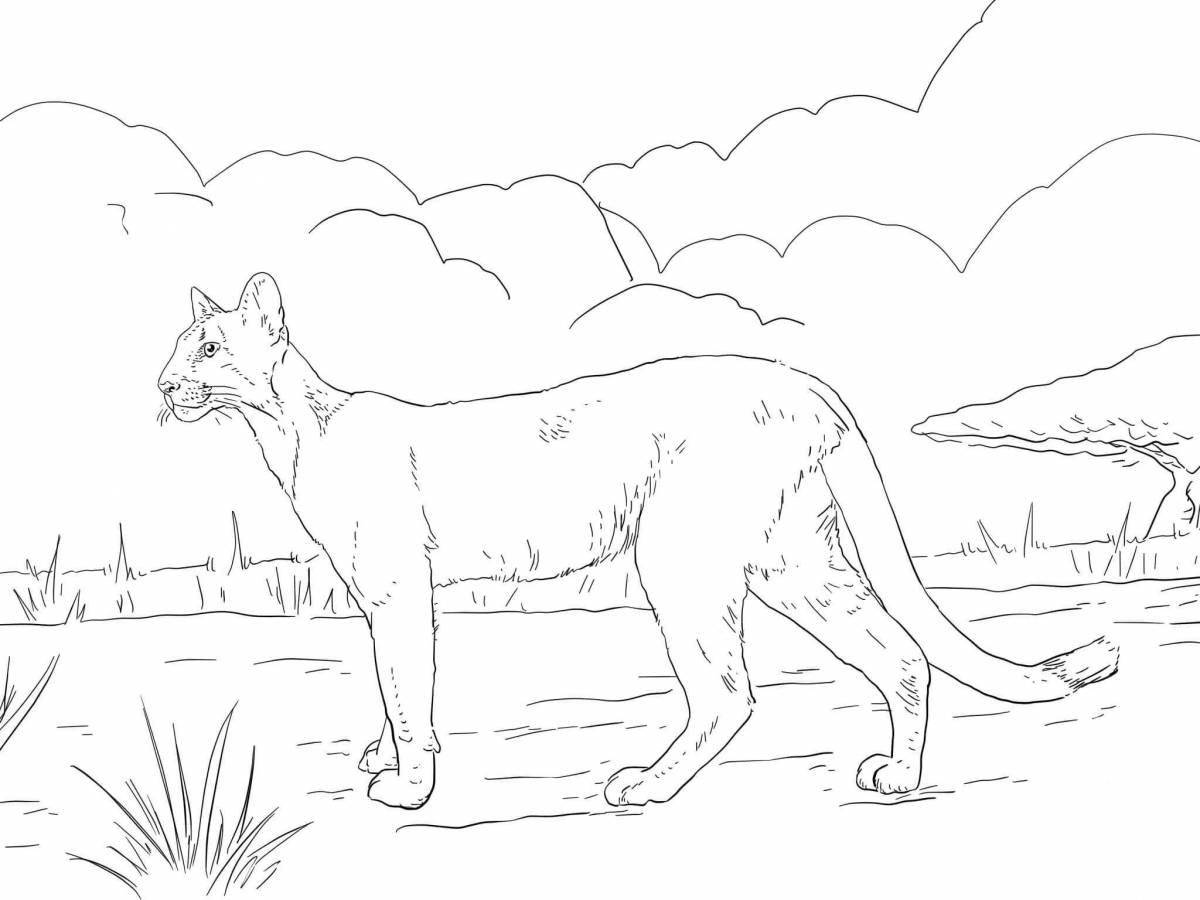 Amazing panther coloring page