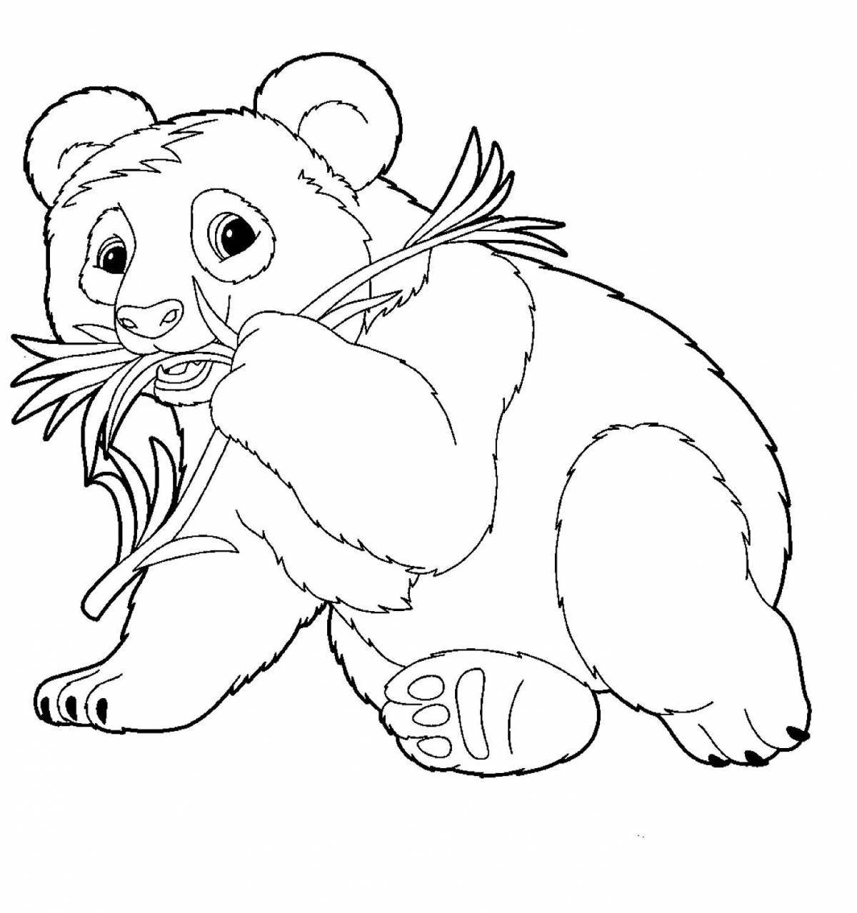 Exquisite panda coloring pages for kids