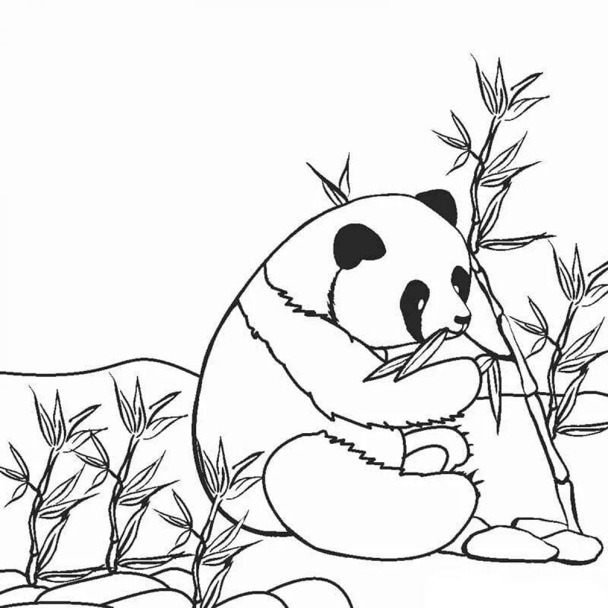 Unforgettable panda coloring book for kids