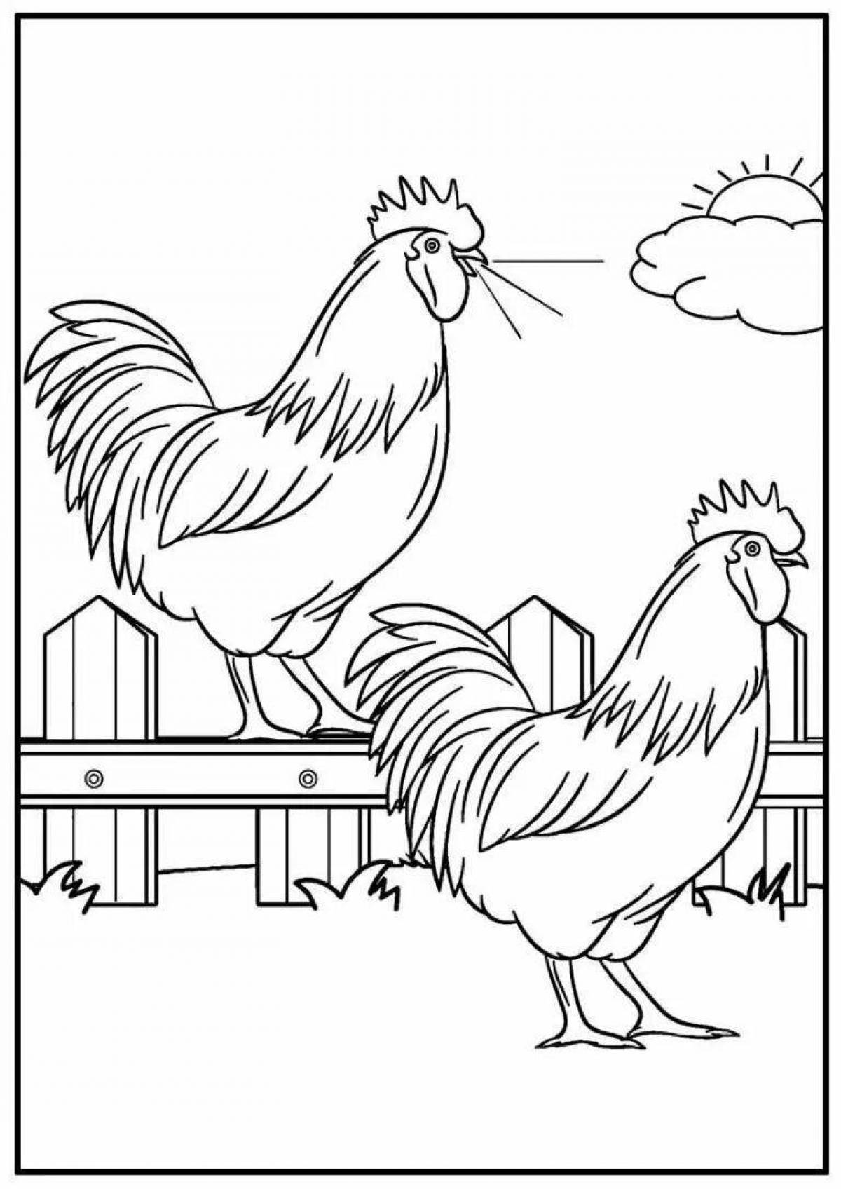 Shiny rooster coloring for kids