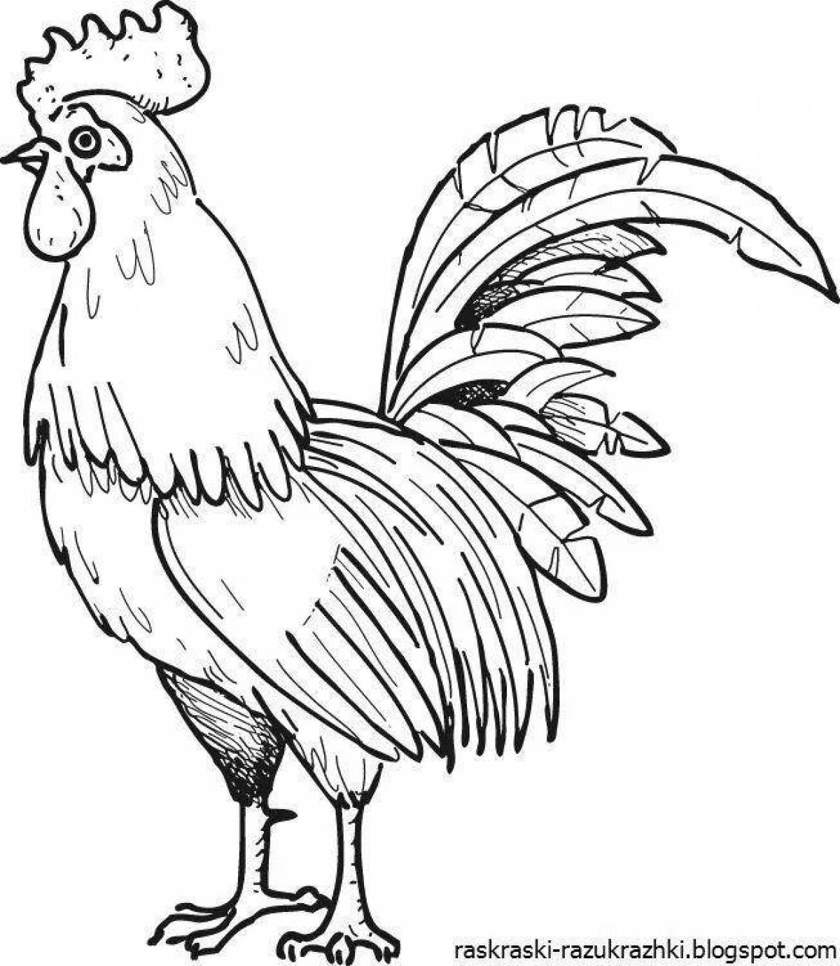 Coloring book shining rooster for kids