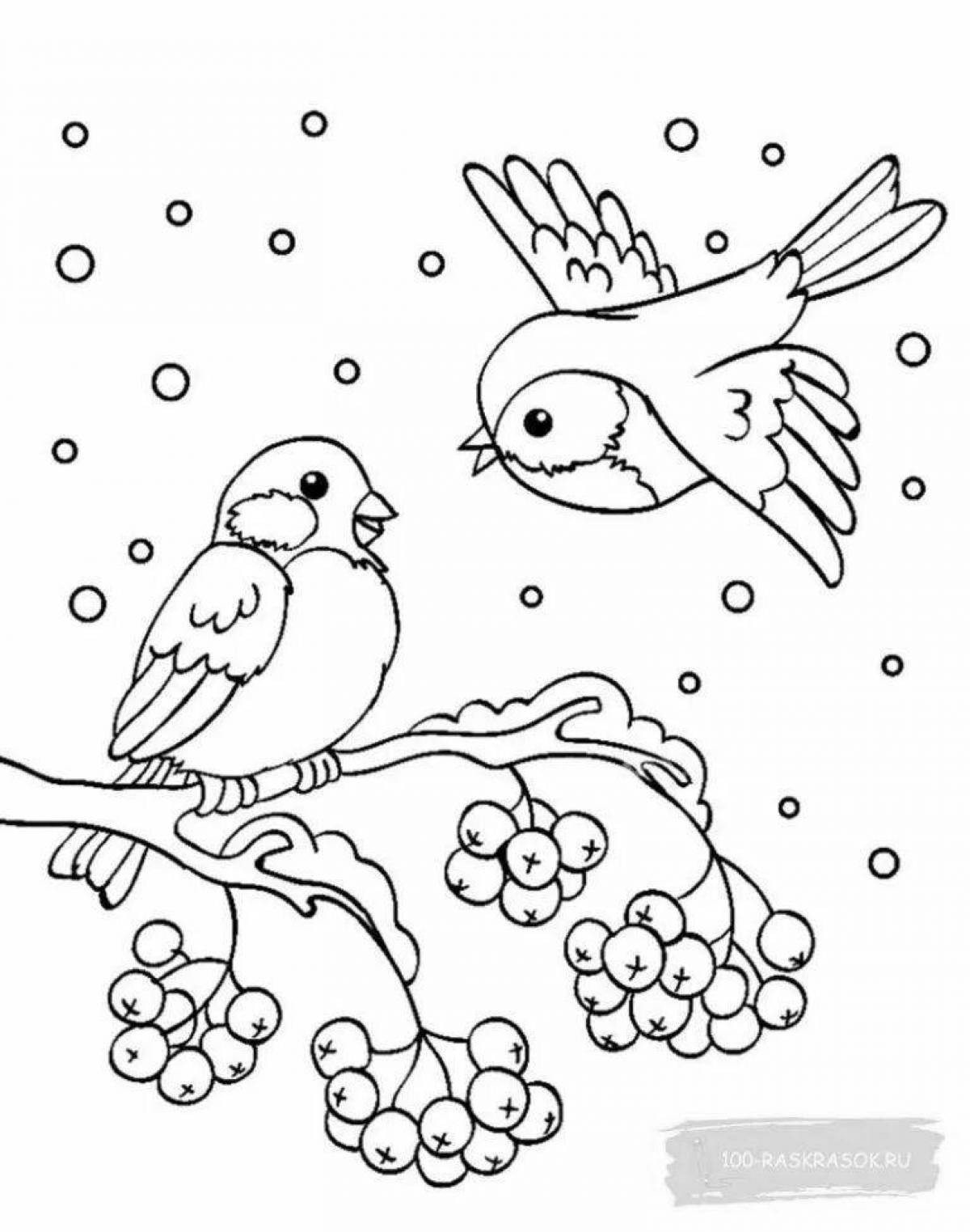 Снегирь картинка для детей #9
