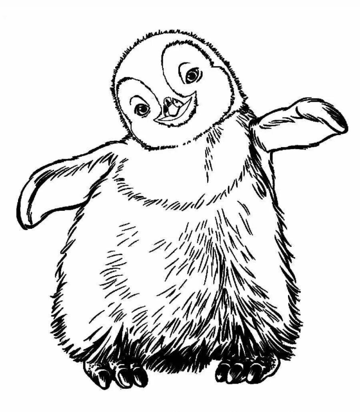 Очаровательный маленький пингвин раскраски