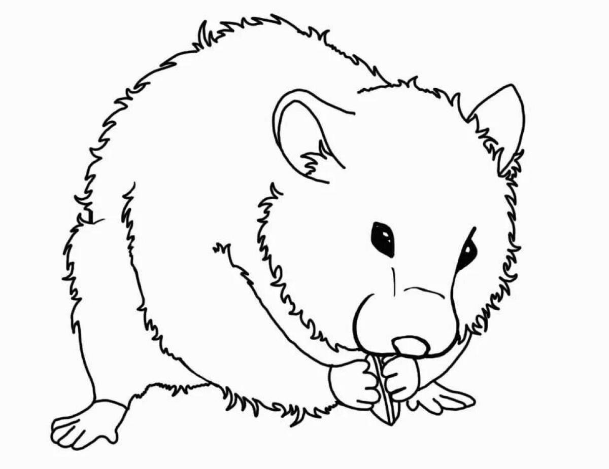 Hamster coloring book for kids