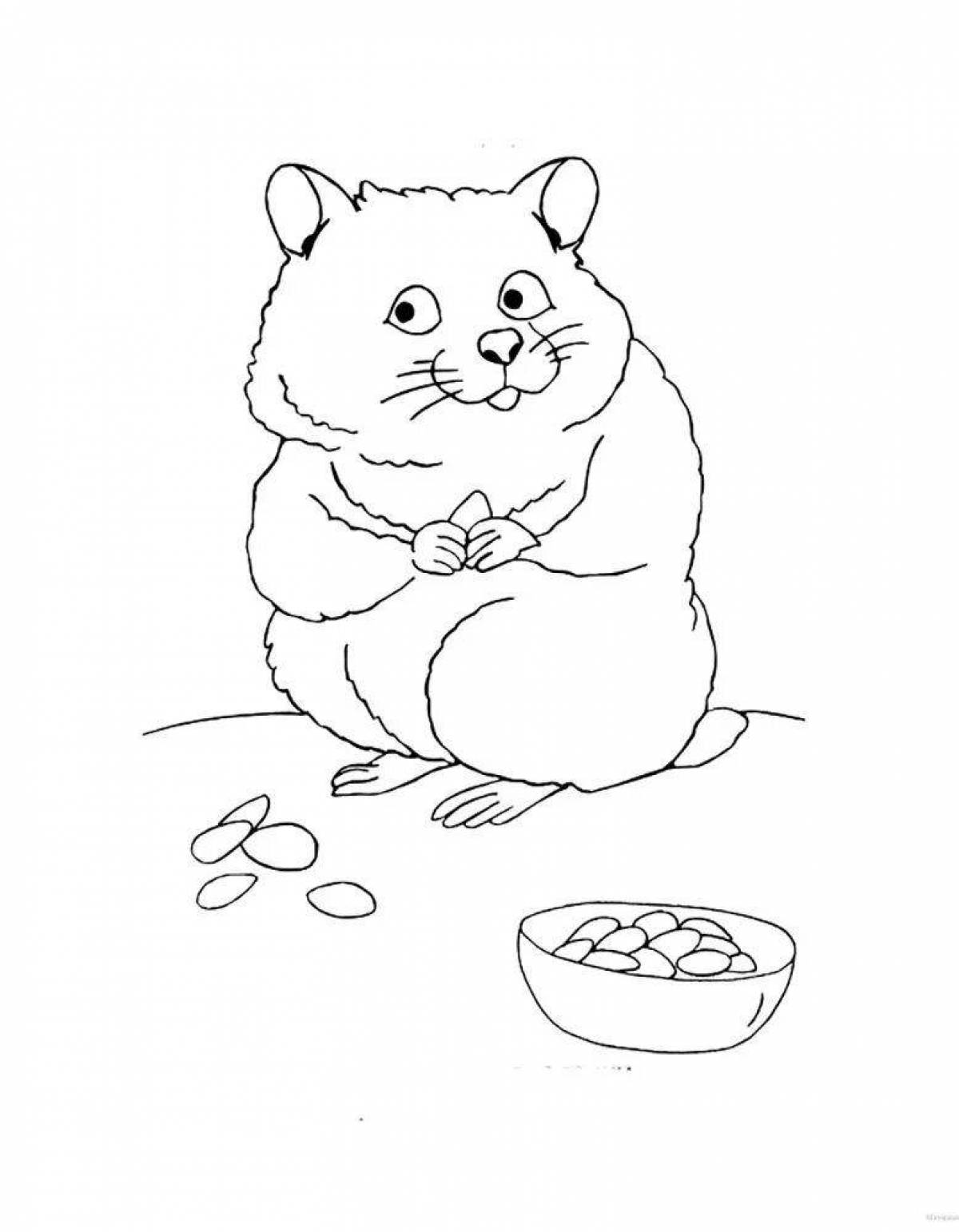 Amazing hamster coloring book for kids