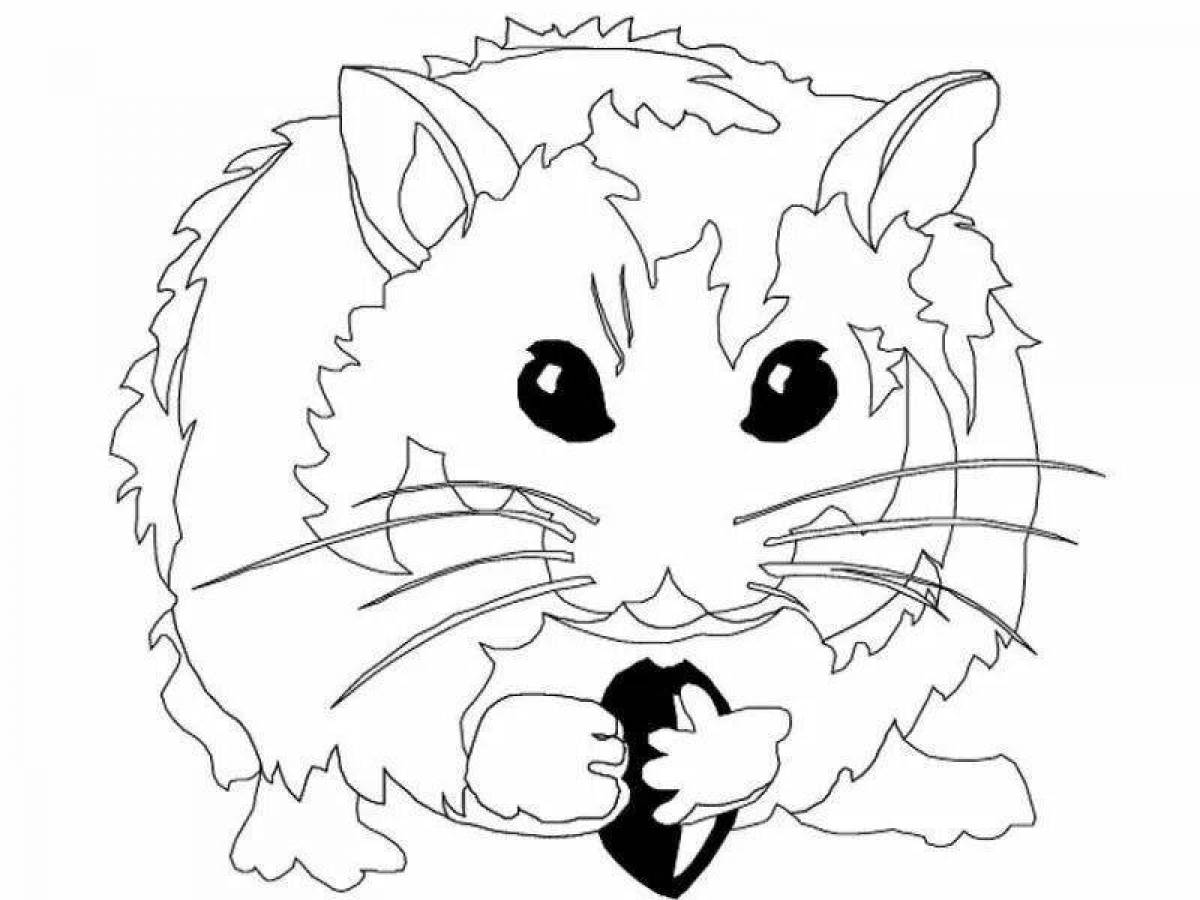 Exquisite hamster coloring book for kids