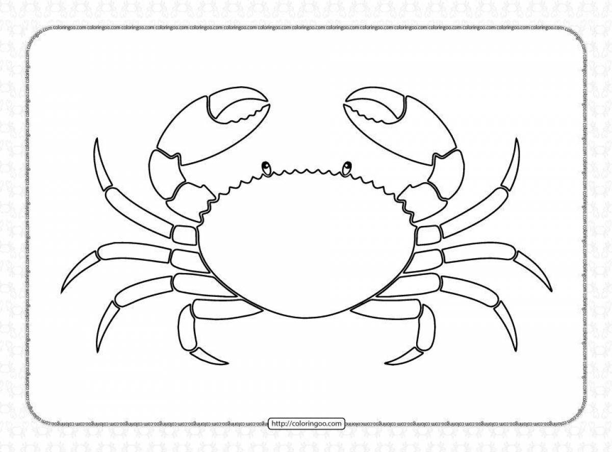 Gorgeous crab coloring page