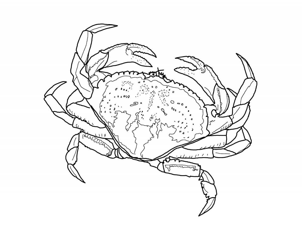 Cute crab coloring book