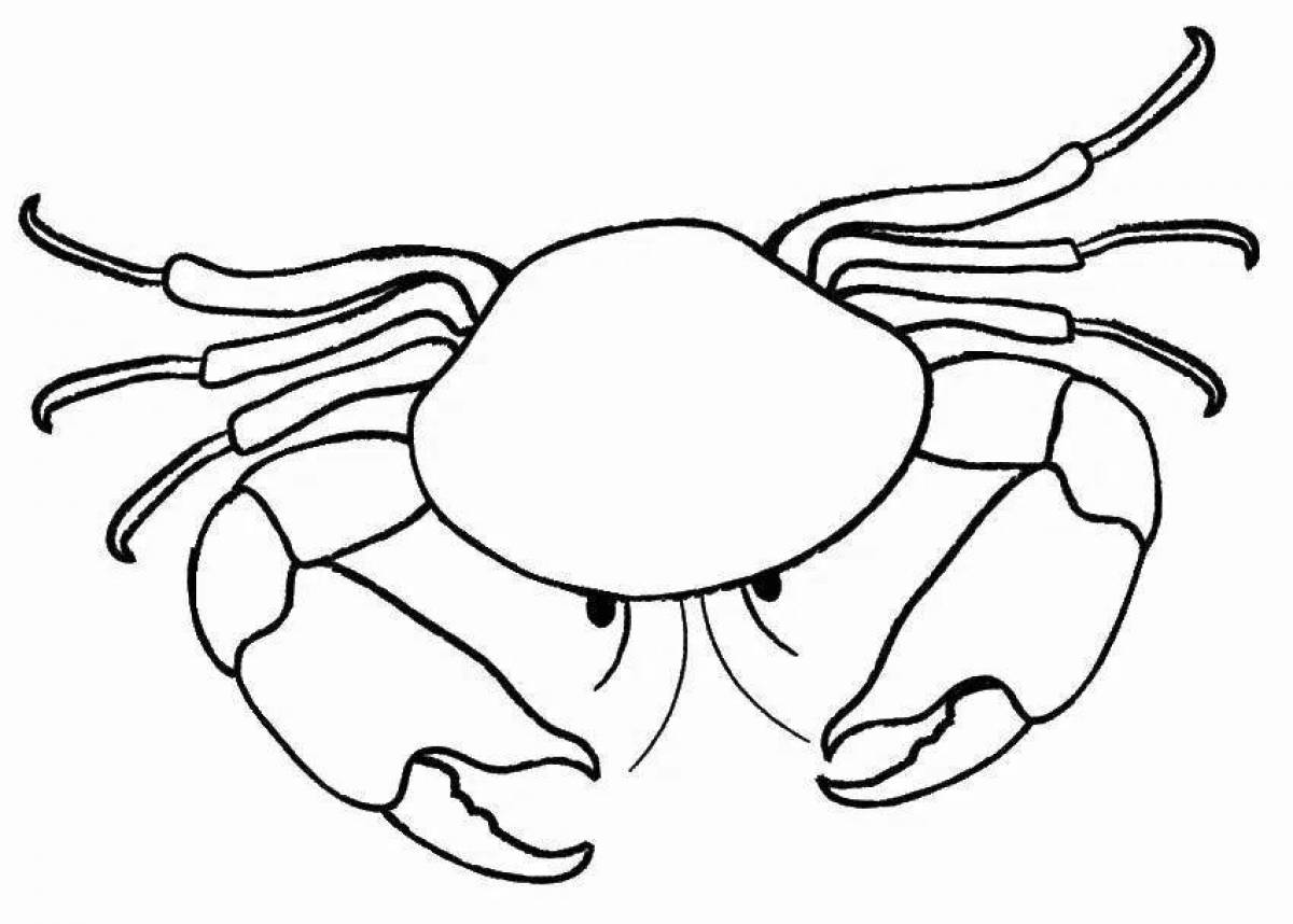 Mysterious crab coloring book