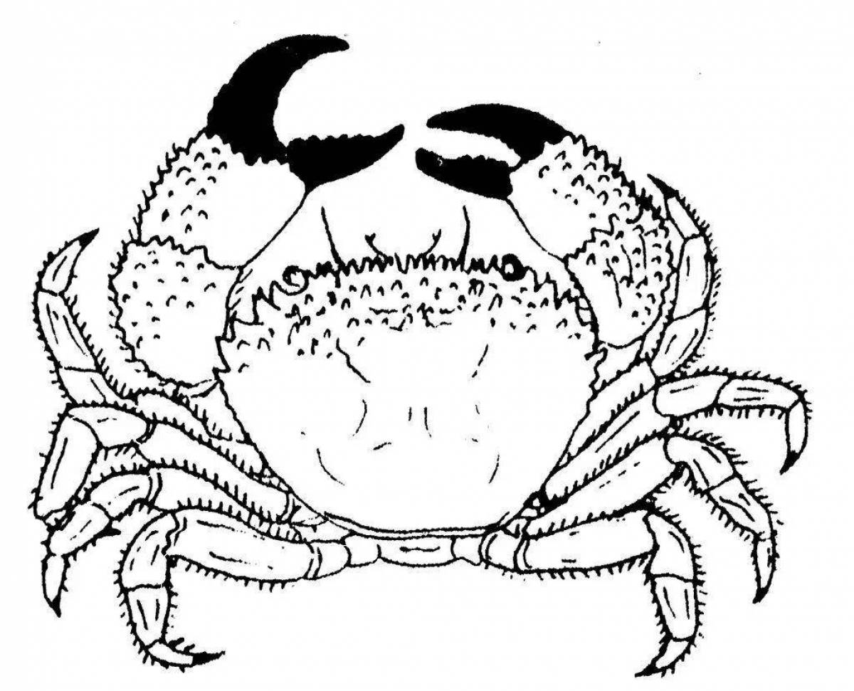 Coloring page mysterious crab