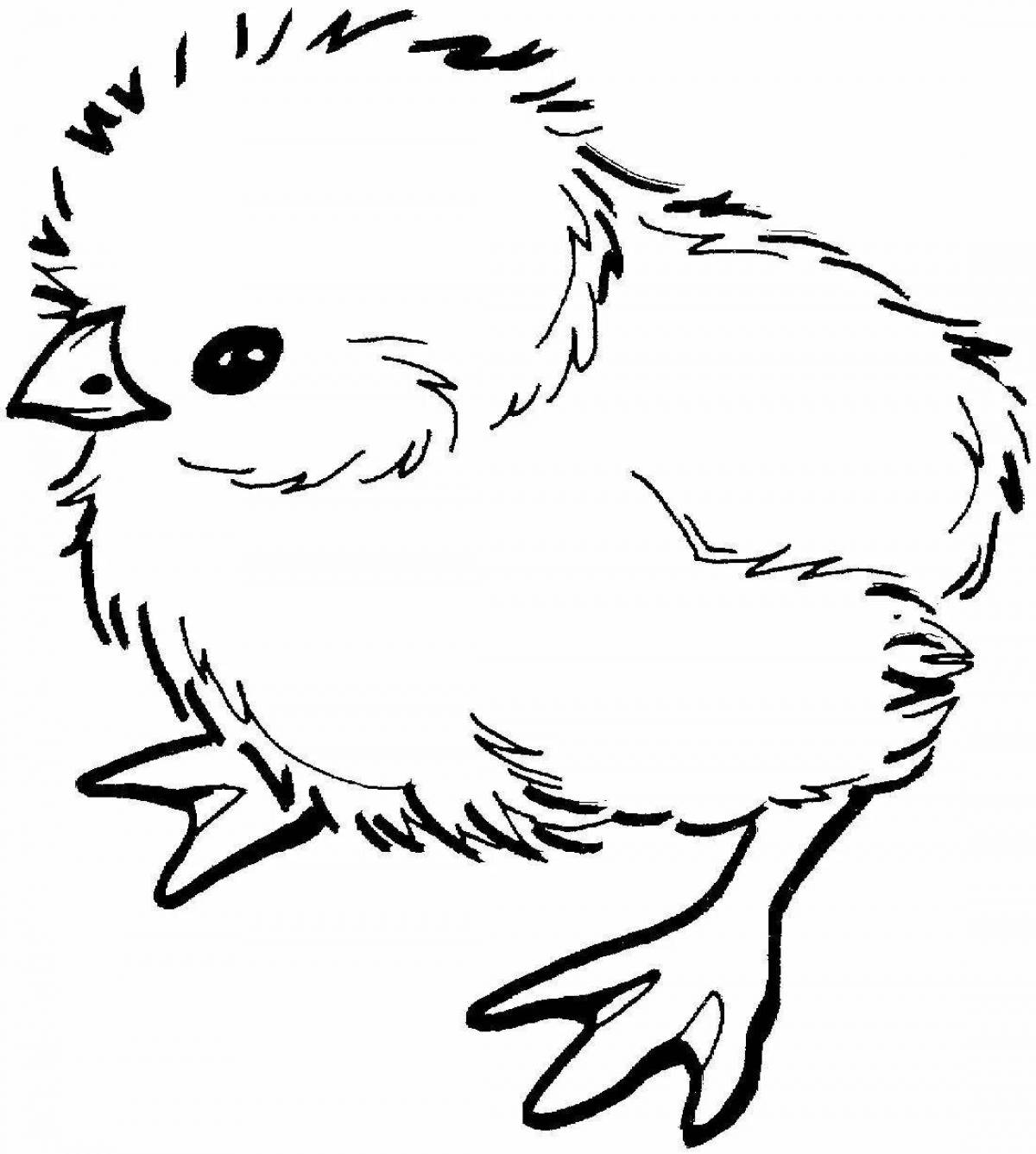 Красочная страница раскраски цыпленка для детей