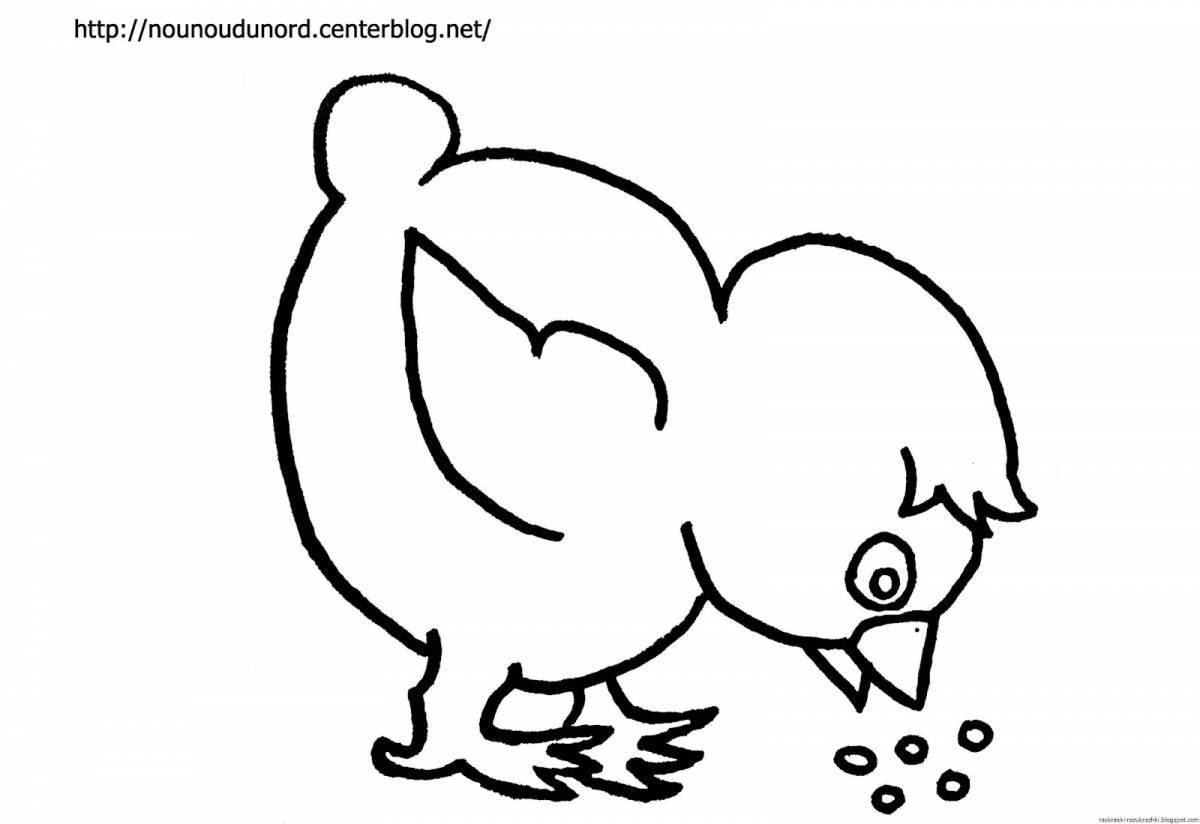 Chicken coloring page for 4-5 year olds
