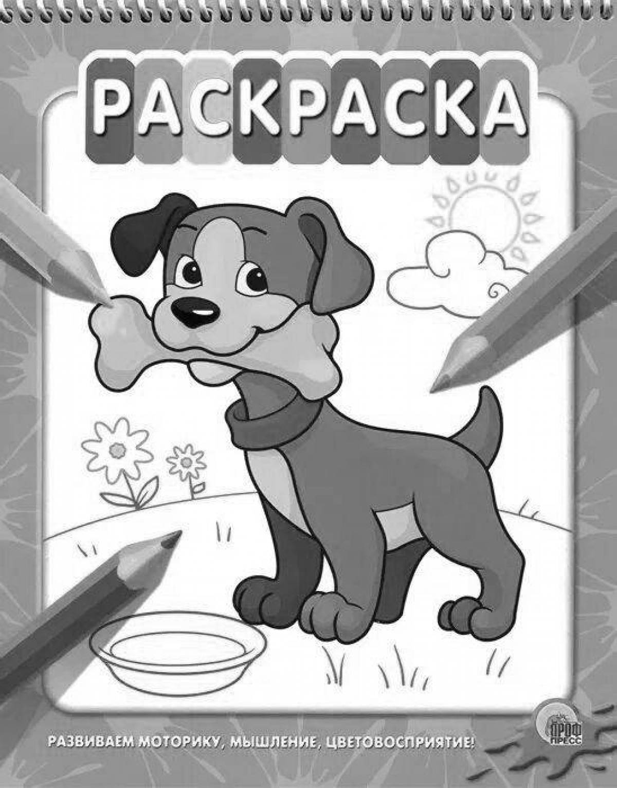 Fancy coloring page cover