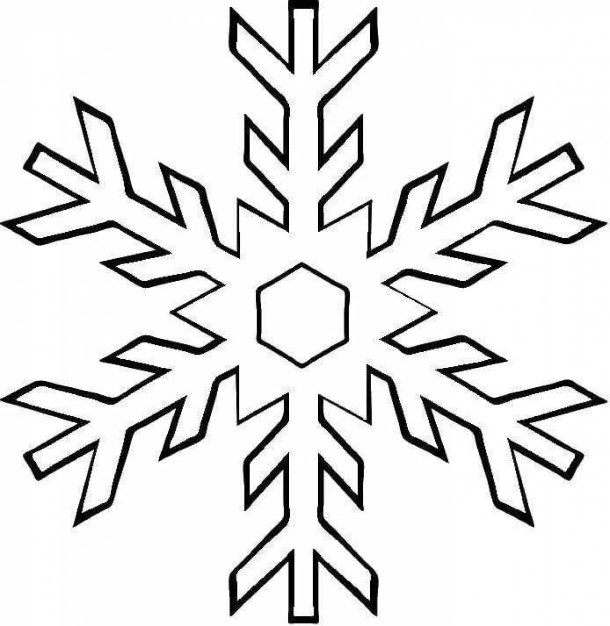 Delicate snowflake coloring