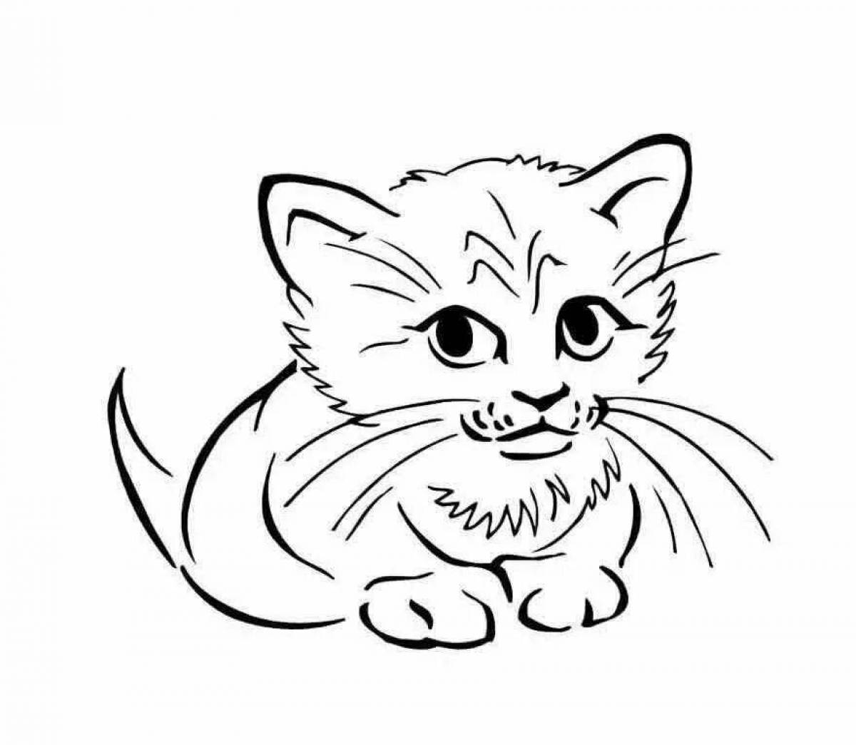Раскраска крошечный котенок