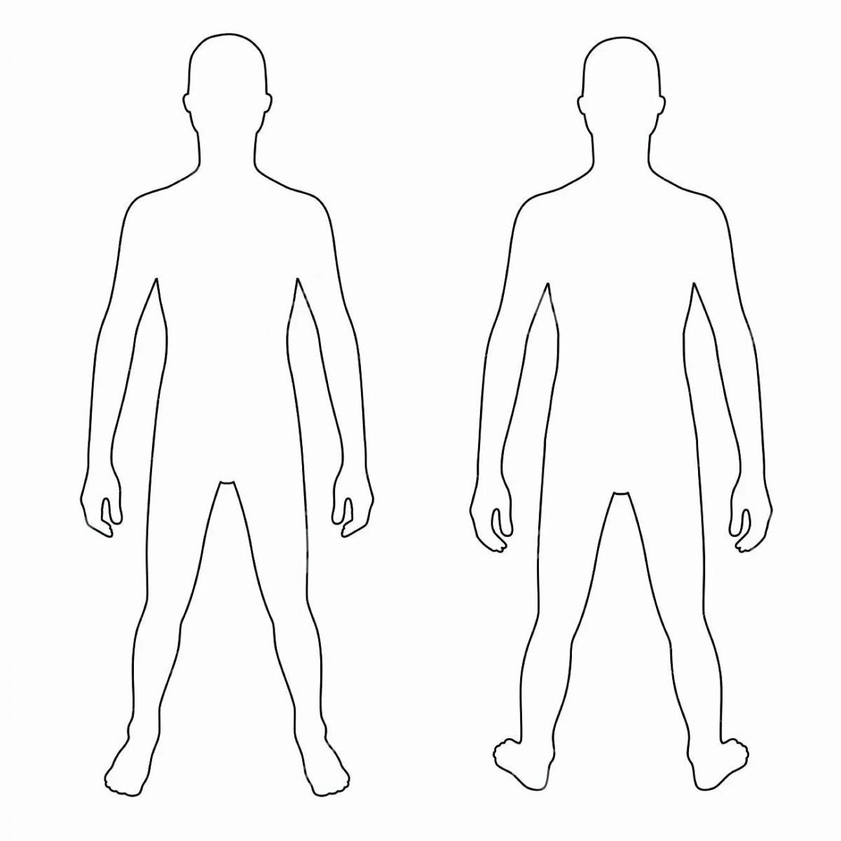 Контур тела человека рисунок для вырезания