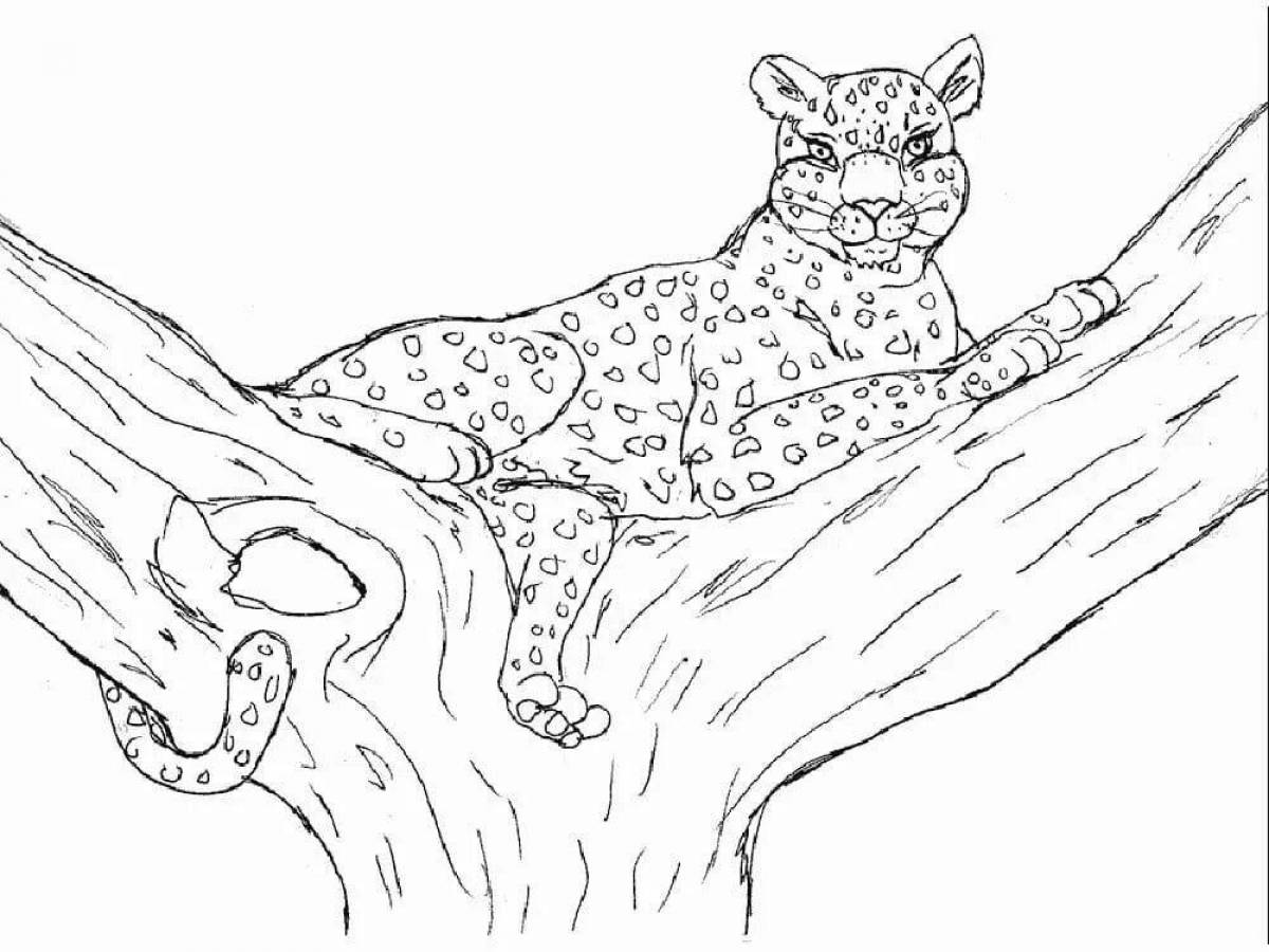 Majestic wild cat coloring pages