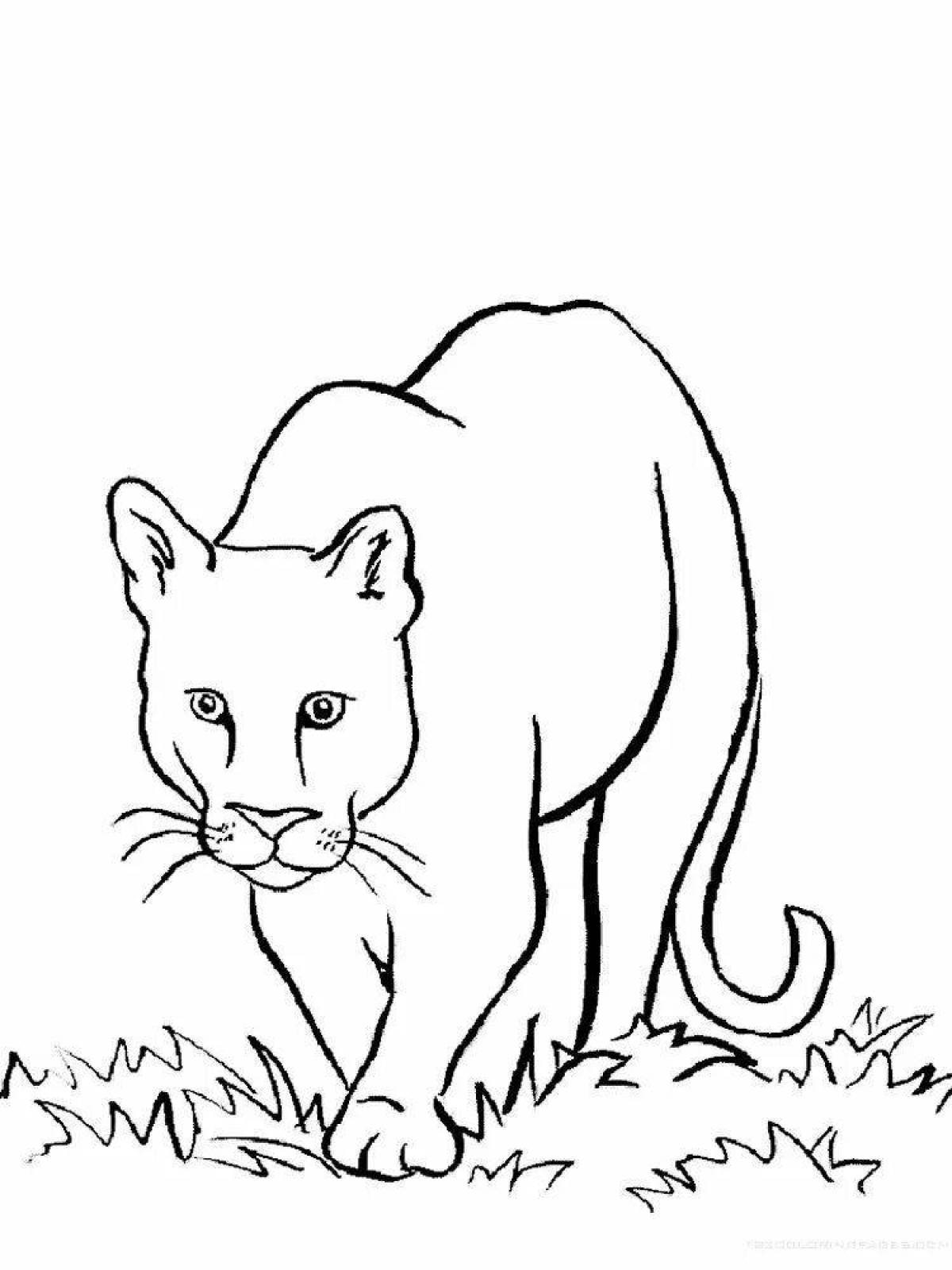 Coloring wild cats