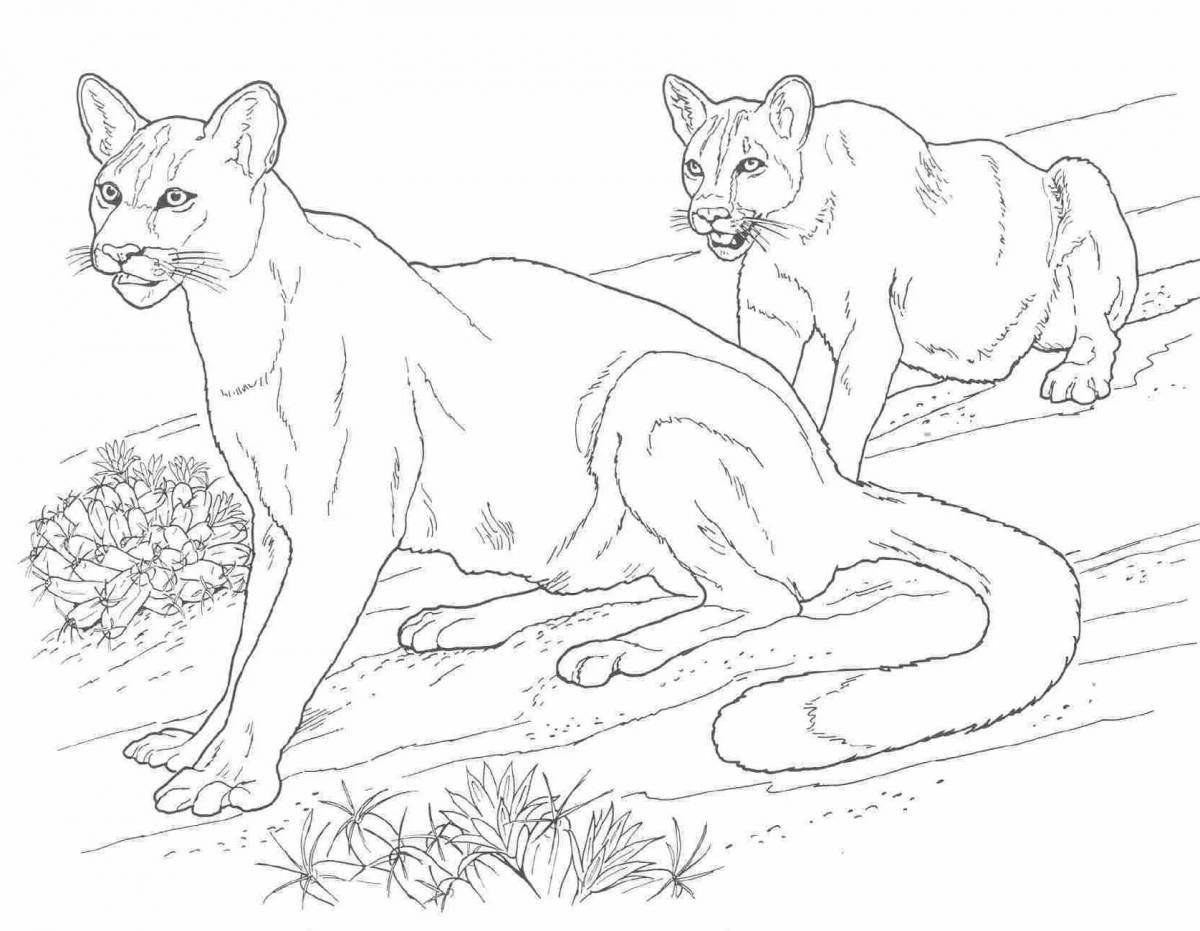 Great coloring wild cats