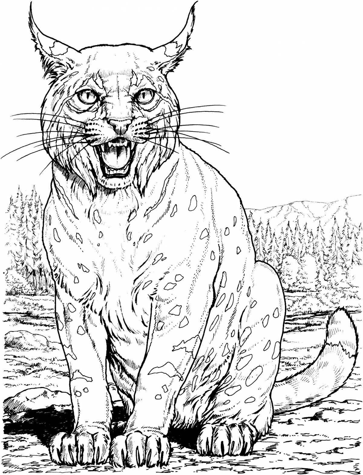 Nimble wild cat coloring pages