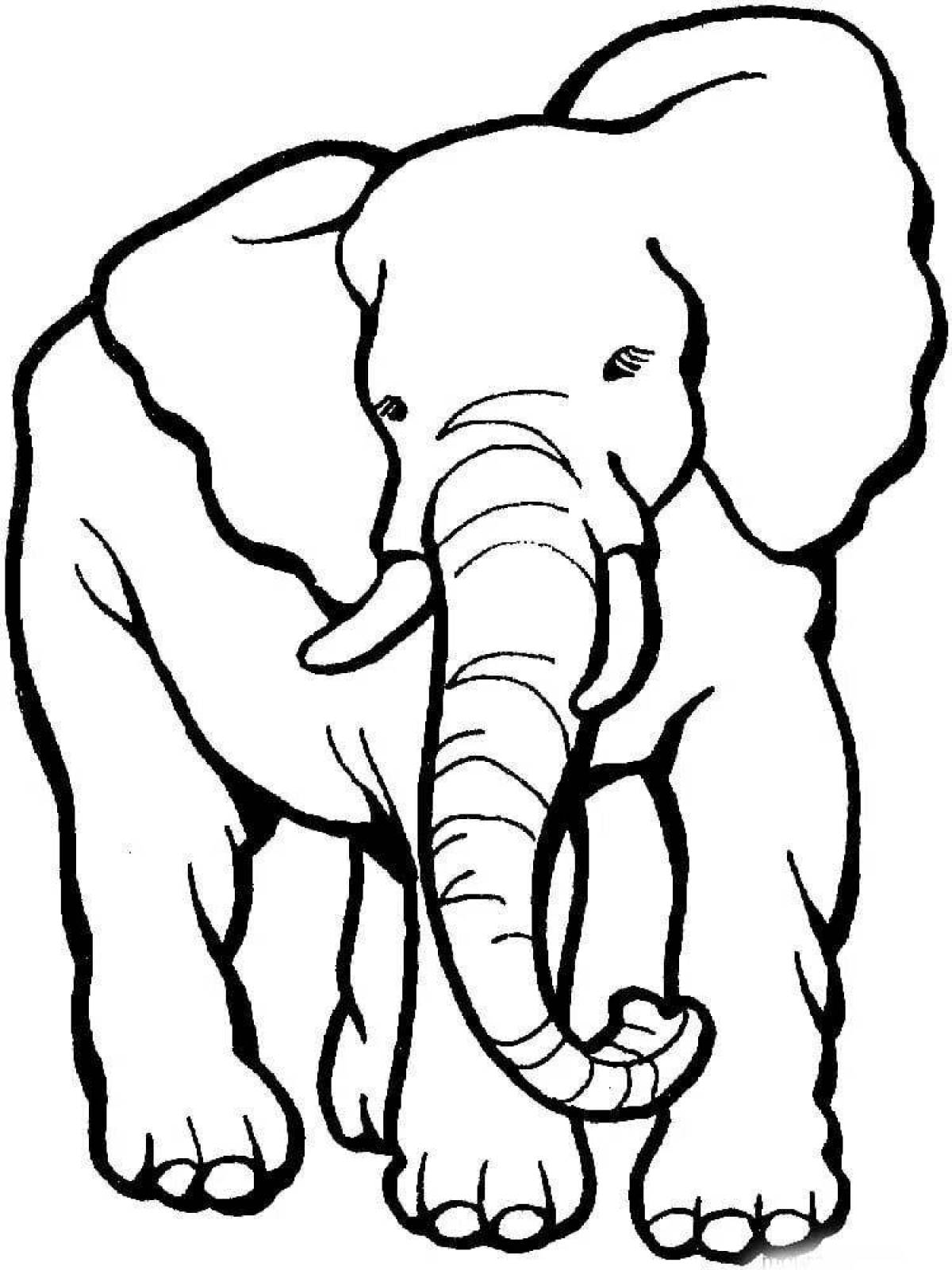 Elephant picture for kids #4