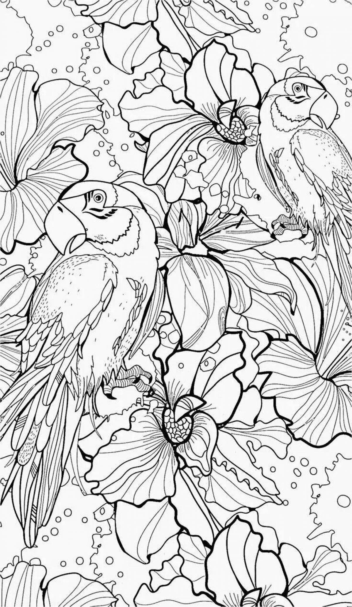 Detailed coloring by numbers for adults