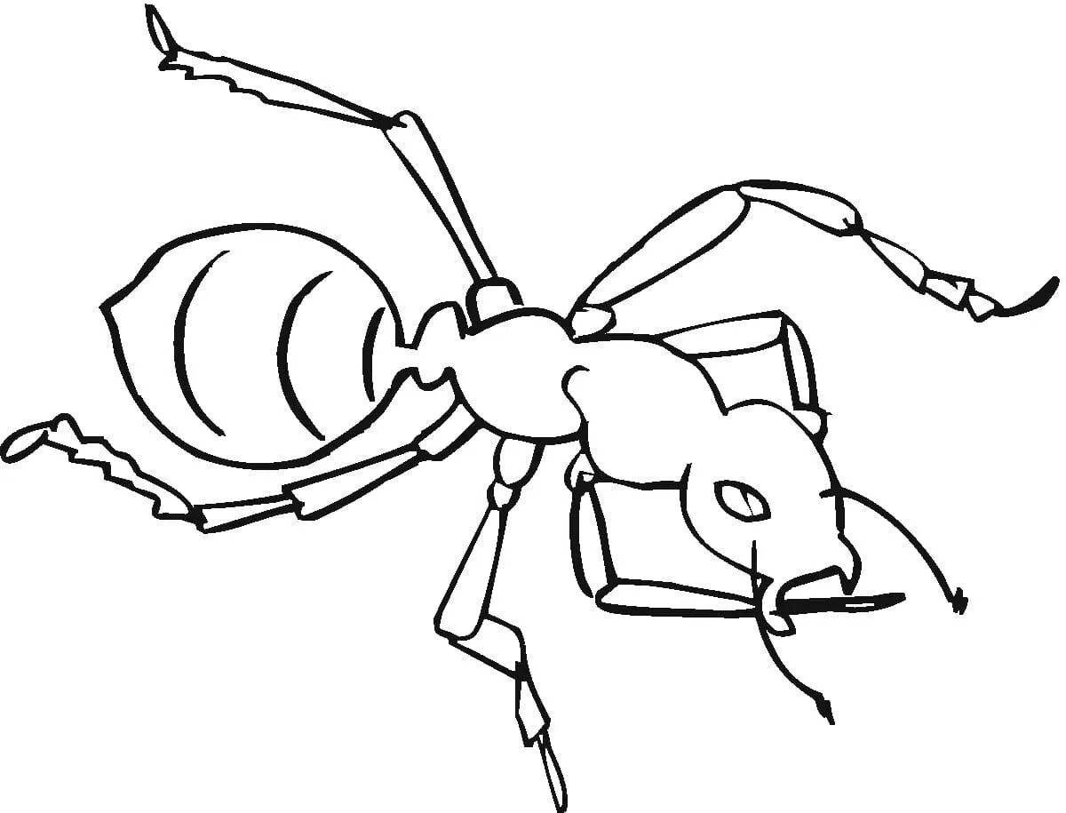 Colorful ant coloring book for kids