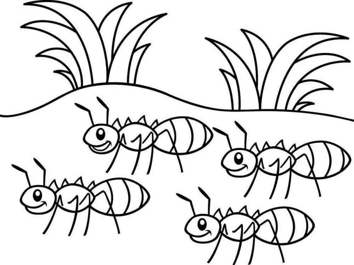 Рабочий муравей — раскраска для детей. Распечатать бесплатно.