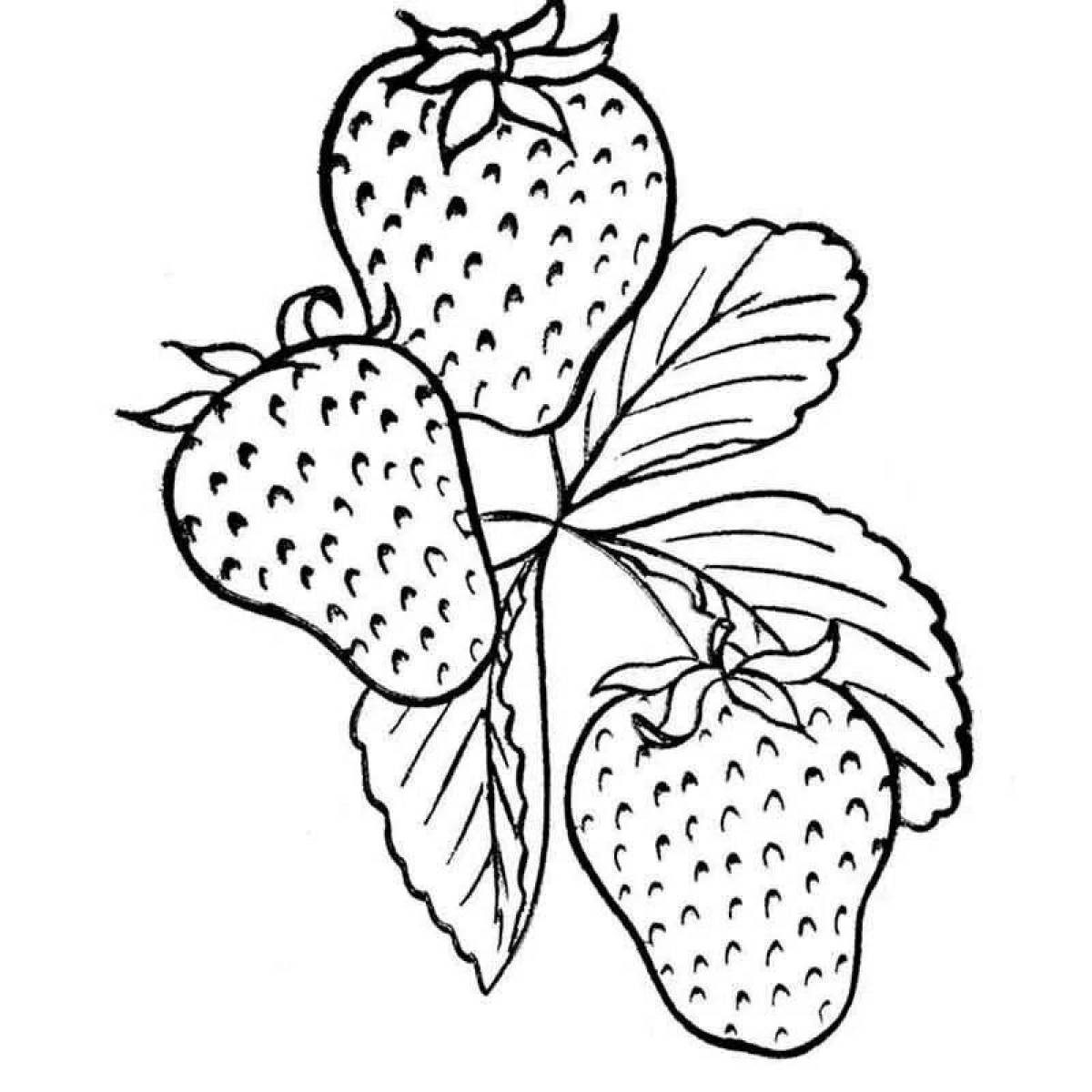Раскраска ягоды: малина, земляника