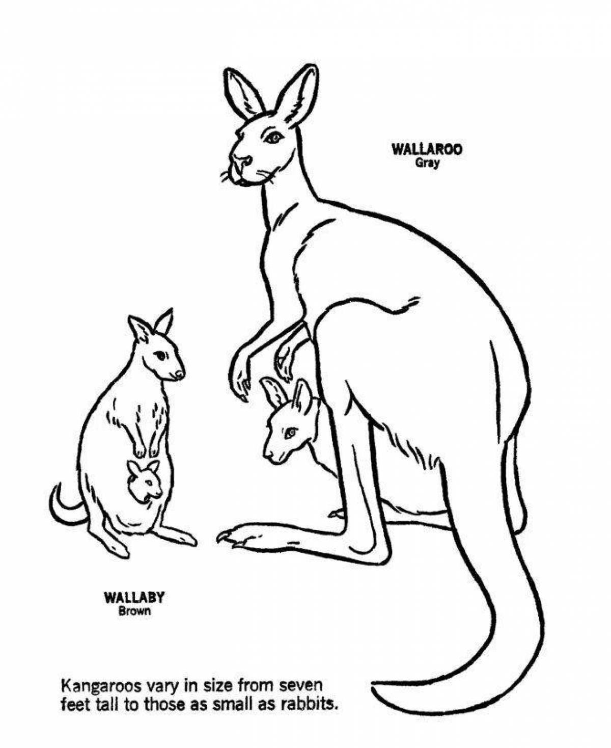 Раскраска кенгуру с кенгуренком