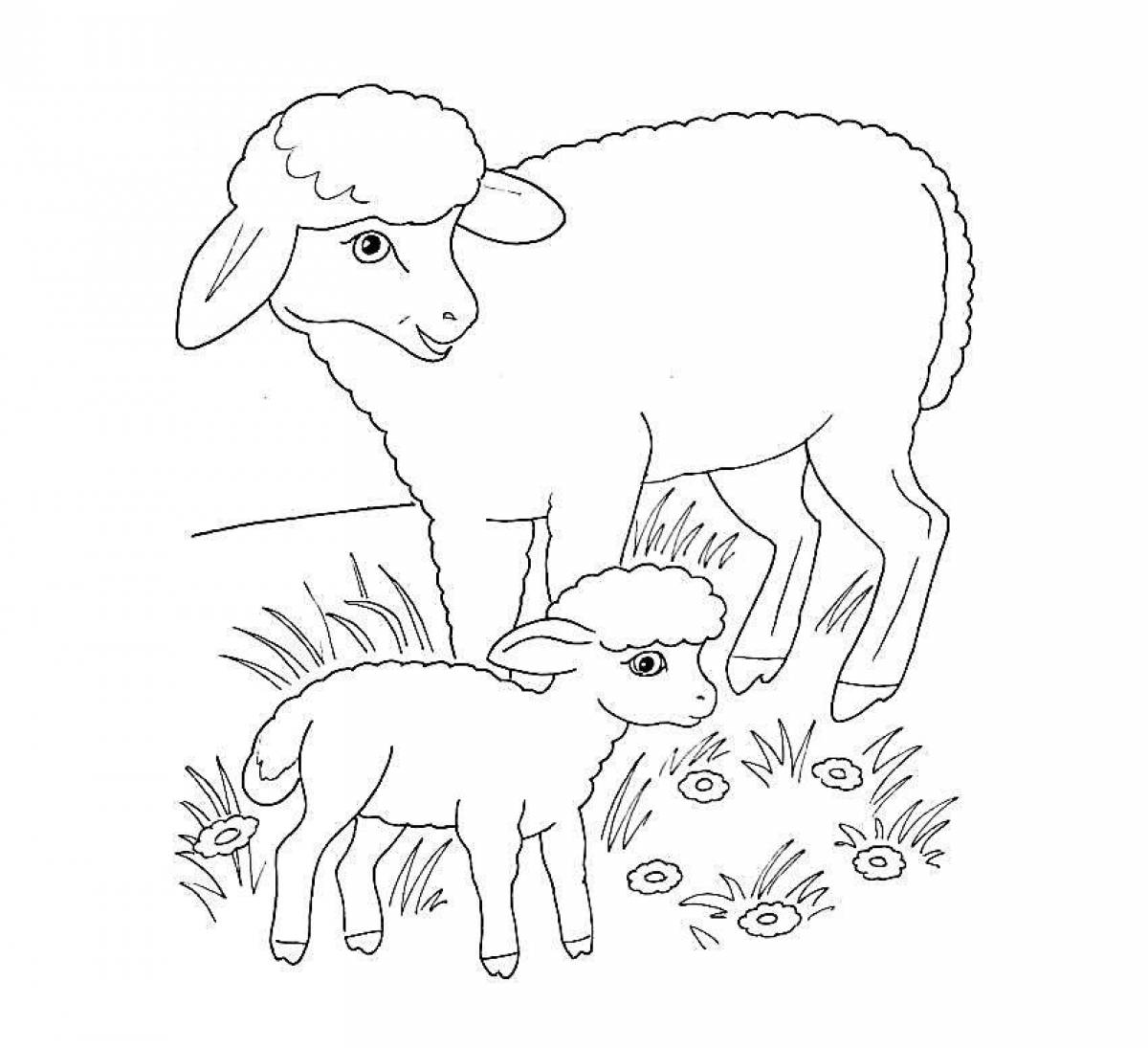 Раскраска овца с ягненком для детей
