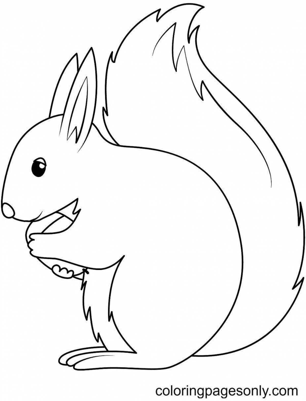 Playful squirrel coloring book for 3-4 year olds