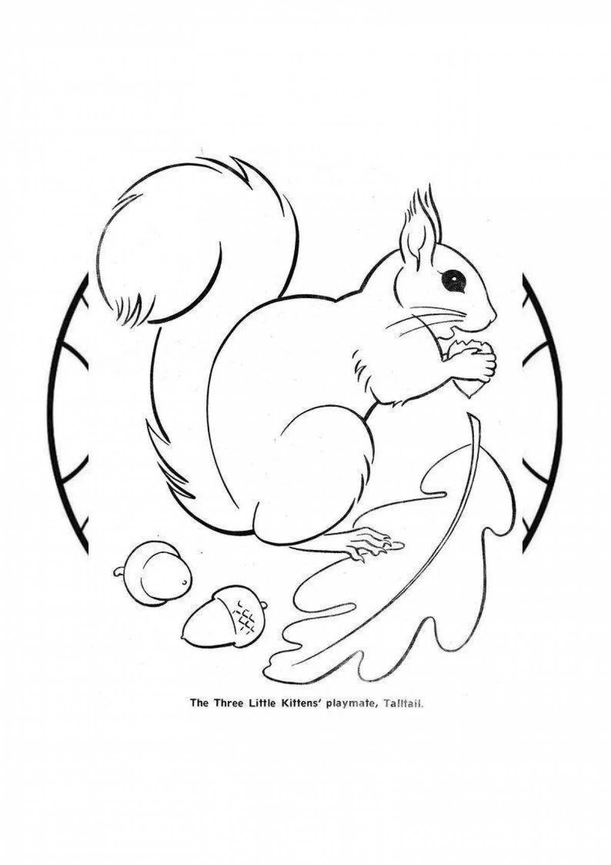 Luminous squirrel coloring book for 3-4 year olds