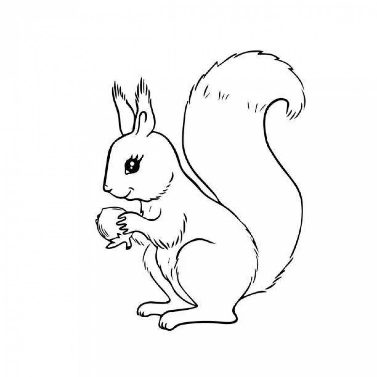 Interesting coloring book squirrel for children 3-4 years old