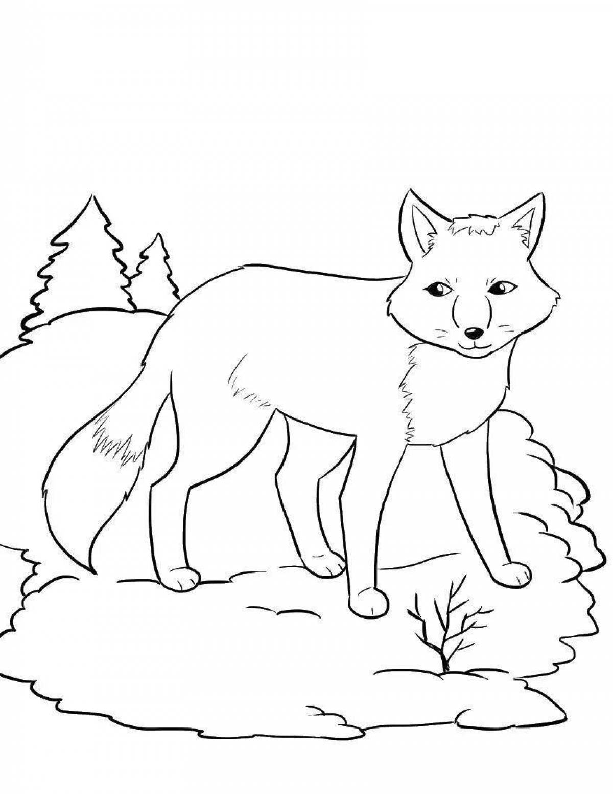 Fun coloring fox