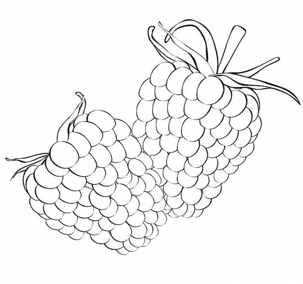 Раскраска ягода Малинка