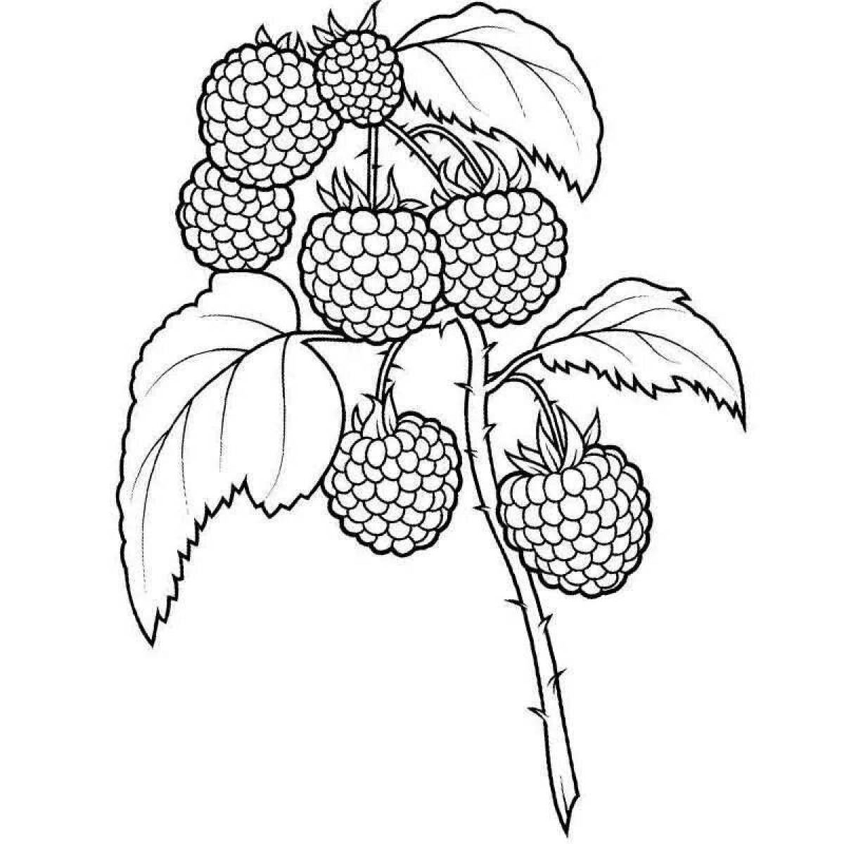 Berries #1